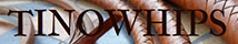 tino whips
